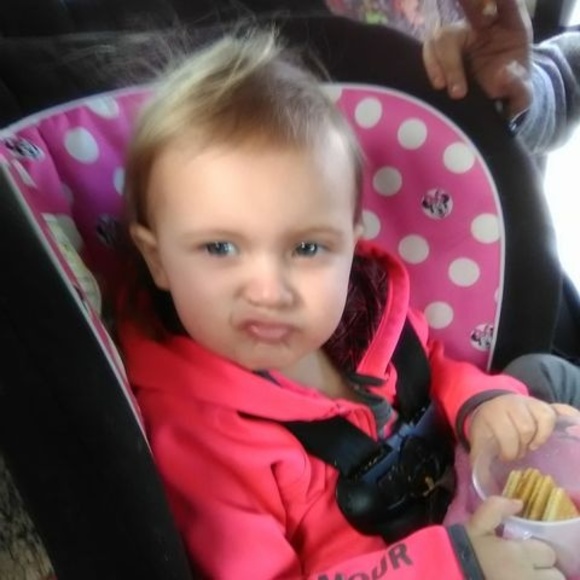 Meet your Posher, Chris - Picture 1 of 1